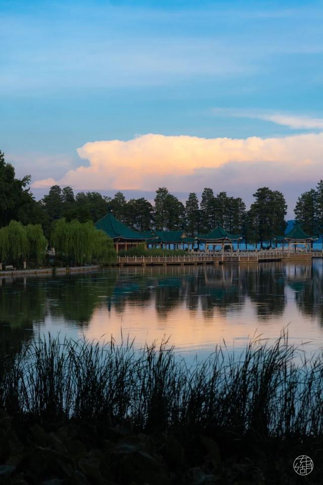 30+东湖夏日绝美壁纸，治愈一整年！