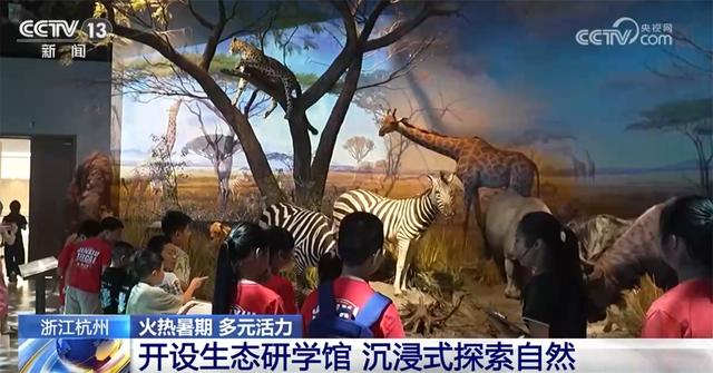 “暑期经济”火热释放多元活力 文旅“新流量”成为拉动经济增长新引擎