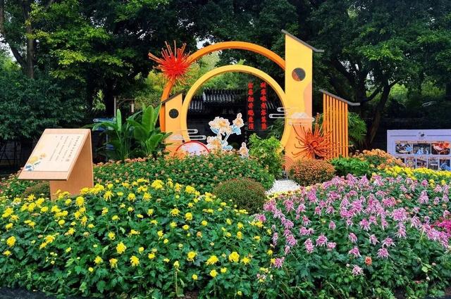 已开，免费！10万盆菊花、超多精彩活动等你来