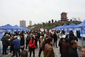 大足区2025年首场招聘会盛况空前！更多线下招聘会，只等你来！图片
