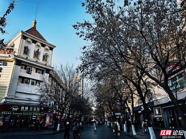 岁暖时刻丨来哈尔滨，一定要走一次中央大街