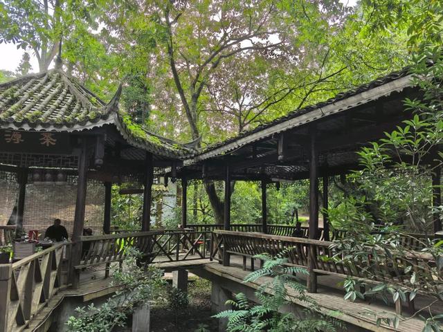 兴听普安||绿意沁心普白森林公园