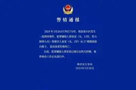 13岁智力障碍女孩将女童从高楼推下坠亡，律师：监护人需担责图片