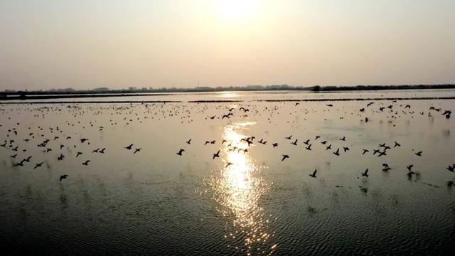 场面壮观！荆州进入繁忙“迎来送往”季！