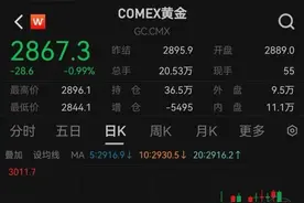 创历史新高后回落，未来金价还会大涨吗？图片