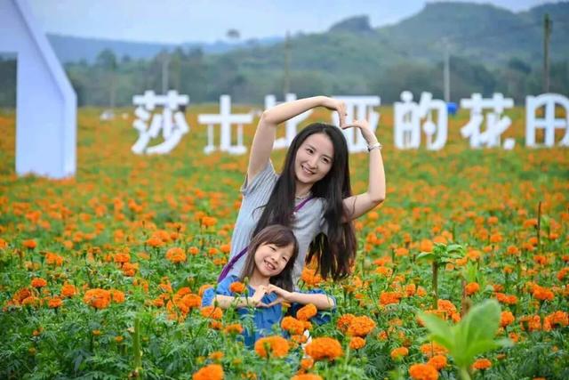 国庆首日，红河州登上央视，活动火热出圈
