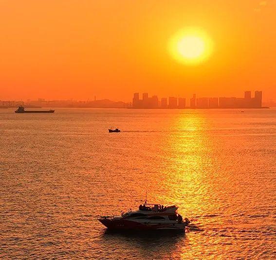 260万人次！青岛海上旅游年度游客接待量已超2024全年！