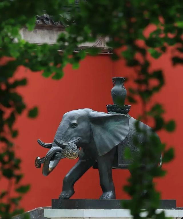 栖霞山新顶流，中式浪漫藏不住了！