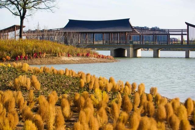 北京上“新”！又大又美还免费！