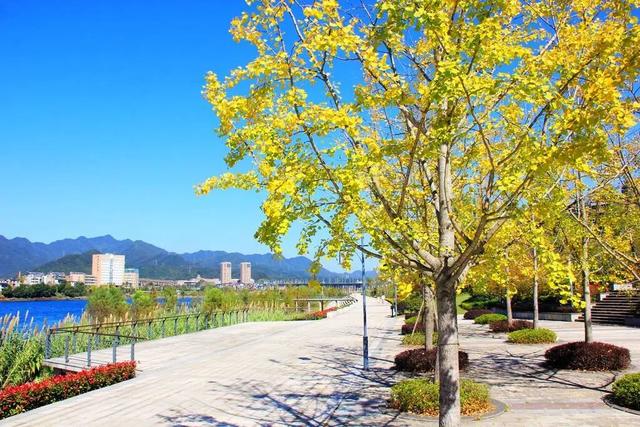 开放共享公园绿地，建德+2！在你家附近吗？