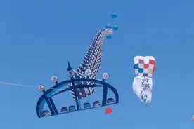 五一起，“大桥游”有新变化图片