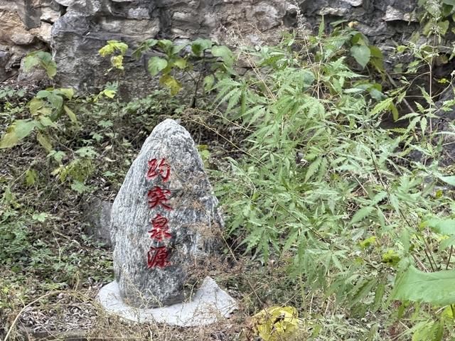 记者手记：在玉符河畔，触摸一座城市的生命脉搏