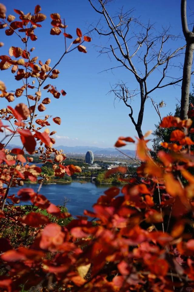 颜值巅峰！北京秋日“调色盘”尽在这些水岸——