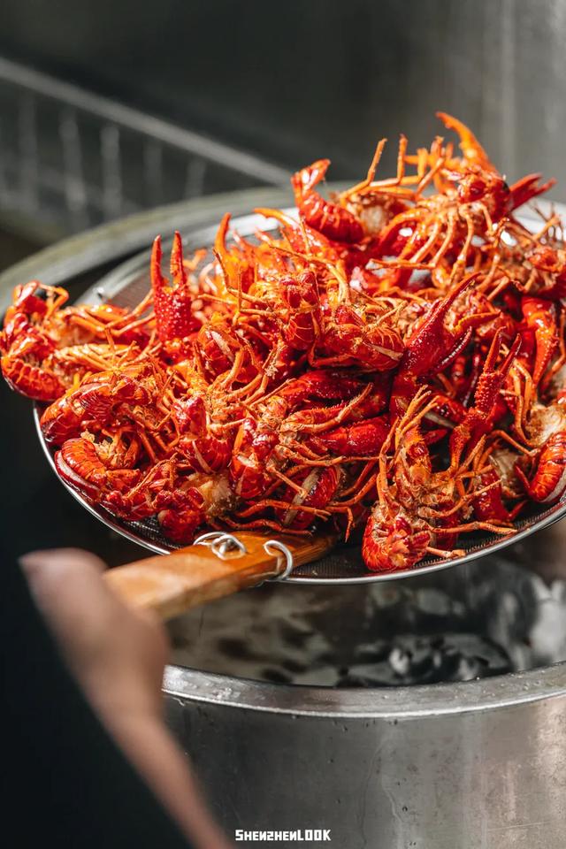 “深圳不上班的年轻人，最近流行去这里”