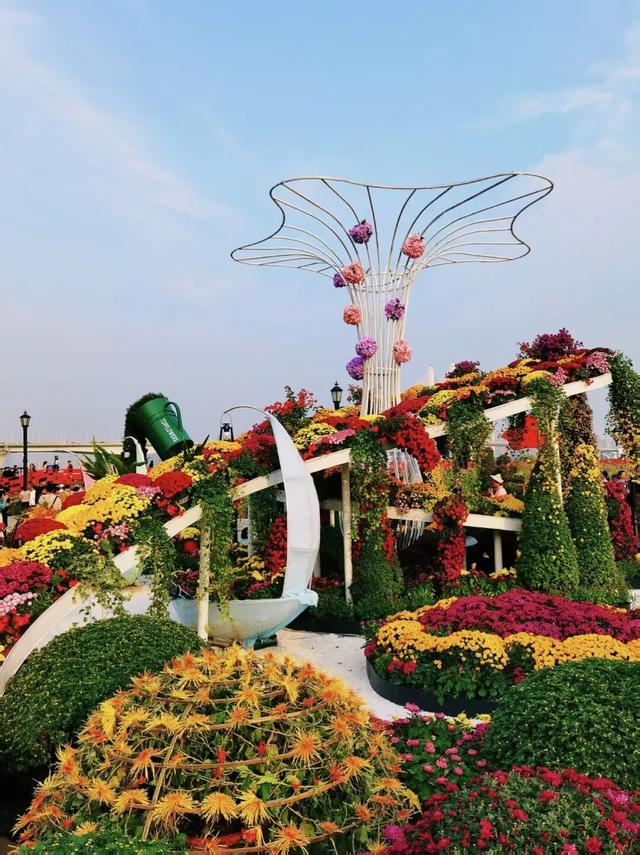 坐地铁，打卡武汉第42届金秋菊展