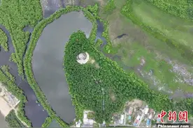 黑龙江乌苏里江流域新石器时代考古调查项目发现遗址68处图片