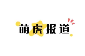 “萌虎”报道！东营黄河三角洲动物园“五胞胎”白虎宝宝征名ing图片