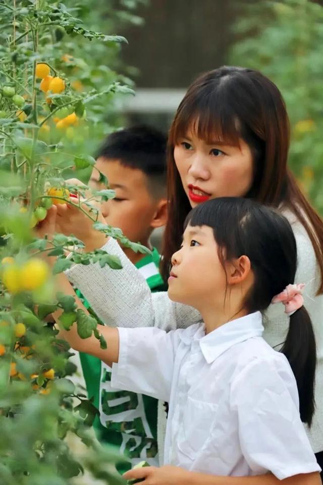 金秋有礼 绵阳有你 ‖ 这个国庆中秋假期，北川是懂宠客的！“三免一减一送”宠客福利攻略来了