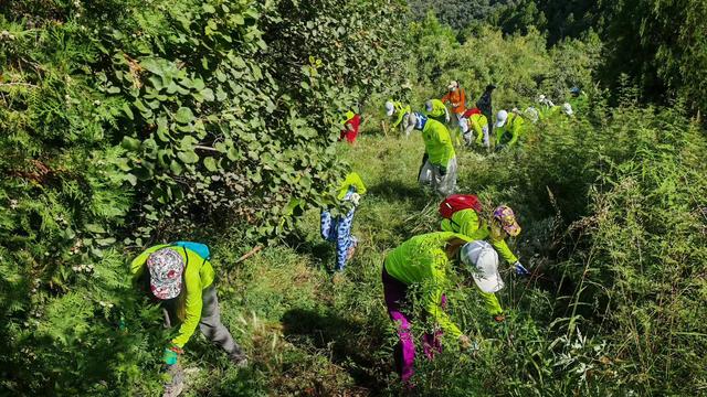 京西山水古道清山志愿队：“维护古道就像打扫自己的家”
