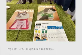实探|宠物包售价899元，阿迪达斯跨界盯上“铲屎官”钱包图片