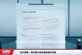 东方集团：存在重大违法强制退市风险视频封面