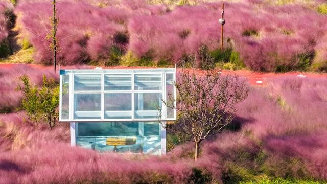 心动！宿城又涨“粉”了