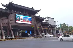 欢迎进入繁花世界！红网千屏联播邀你来阳明山上春山赏杜鹃图片