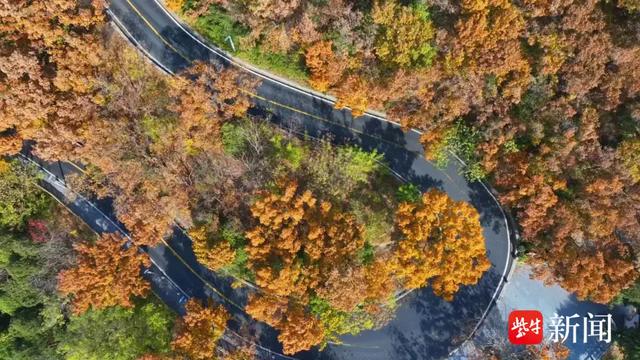 大王叫你来巡山!连云港花果山邀您参加新年登山赛