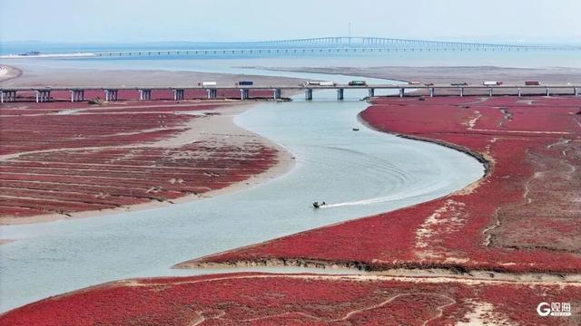 红了红了！青岛这片海滩刷屏，现场超壮观，不少人已赶去打卡，错过要再等一年……