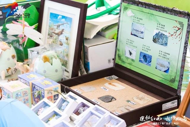 这场“辽宁风”快闪，把草原的豪迈、海岸的浪漫都搬到了上海街头