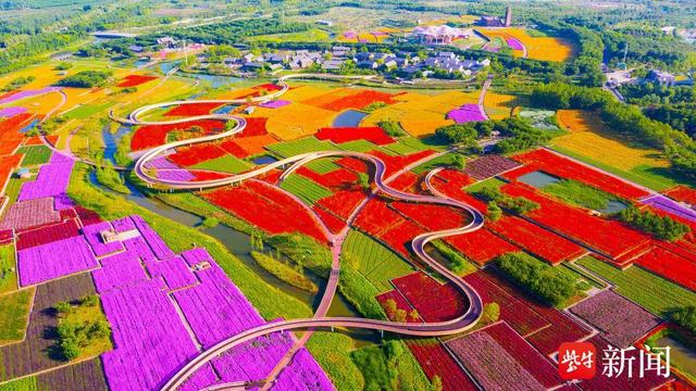 【图集】大美江苏！穿越森林秘境，漫步郊野公园，沉浸式感受"绿色动脉"