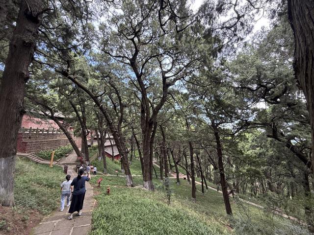 四川绵阳：守护遗产根脉 书写文旅新篇