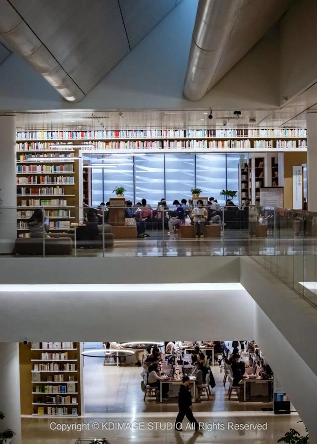 ​别再说深圳是文化沙漠！这份双馆暴走攻略，让你重新认识这座城市