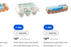 奶牛也得禽流感？该毒株可传人，已致1人死亡｜科技观察图片