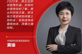 预见2025｜黄瑜：房企应紧抓政策契机盘活闲置土地图片