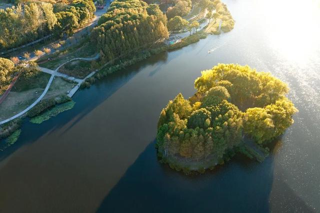 湖光金叶织秋韵