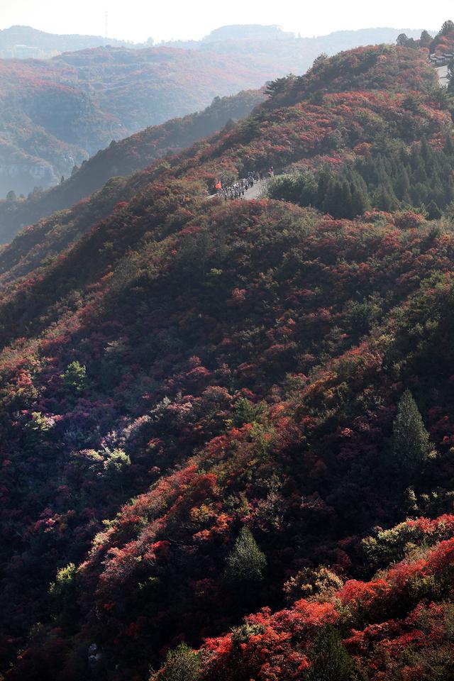 十一前半价！青天河景区8月30日试开园