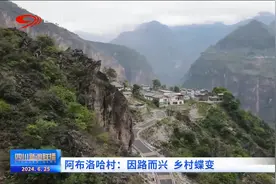 四川新闻联播丨阿布洛哈村：因路而兴 乡村蝶变图片