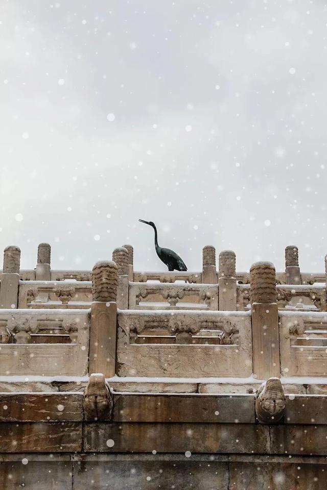 ❄❄❄瑞雪至 故宫雪景“大片”又上新了