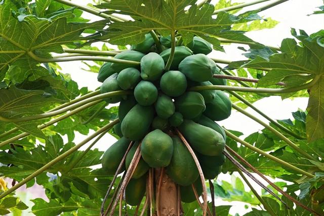 我的家乡我来赞｜秘境梭山