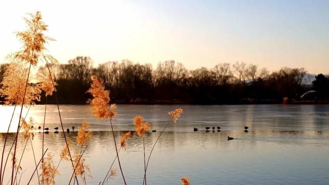 品，乾隆笔下的御园冬景