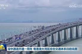 深中通道开通一周年 粤港澳大湾区综合交通体系日趋完善图片