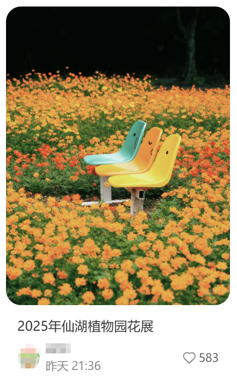 就在明天！深圳又一花展来了