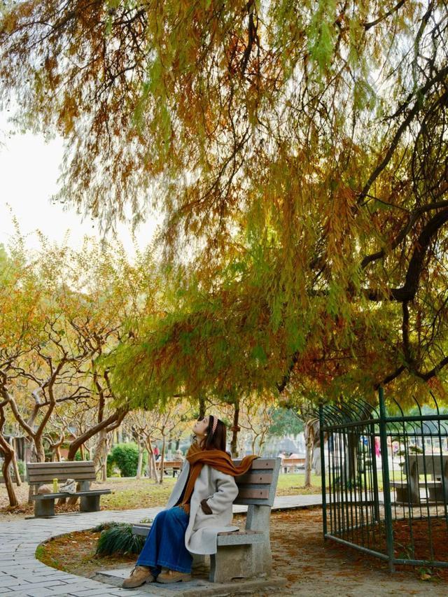 周末N次方|打开这份江汉赏秋图鉴→