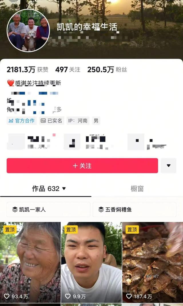 网红凯凯爷爷去世