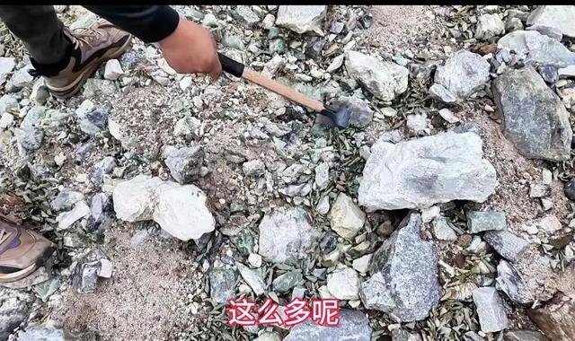 来辽宁“寻宝”，捡石头路线都给你摸清楚儿的