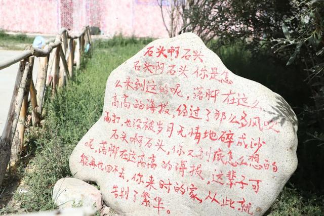 因为冰山知道我
