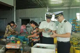 湖南江永做大特色出口蔬菜产业图片