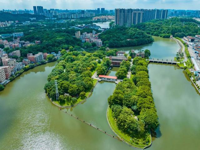 倒计时2天！海南洲-水口湾，一场人文与经济的活力绽放！