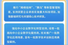 他山之石｜“晋江经验”被写入中央文件，福建民营经济发展有何启示？图片